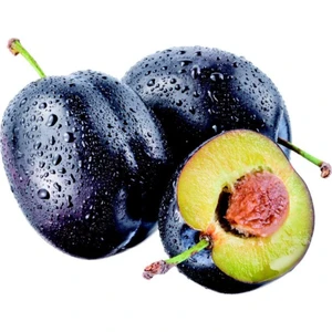 Erik Mürdüm-Saksılı