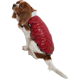 Puff Kırmızı Küçük Köpek Montu