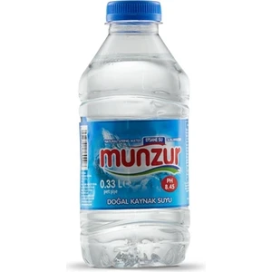 Su 330 Ml 24'lü 4 Koli (96 Şişe)