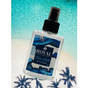 Kolonya Cool Aqua 100 ml