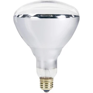 250W Infrared Şeffaf Ampul E27