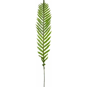 The Mia Sword Fern Yaprak 160 x 20 cm
