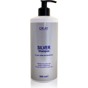 Professional Silver Şampuan 500 Ml