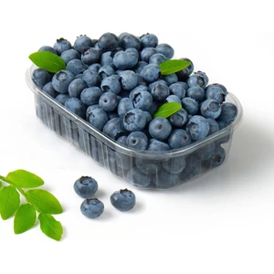 3 Adet Yaban Mersini - Blueberry (Chandler) Meyve Fidanı Tüplü