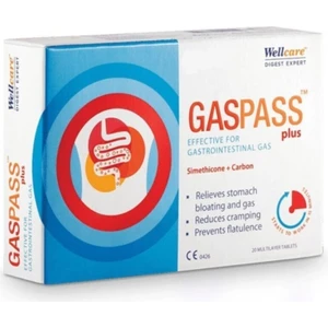 Wellcare Gaspas Plus  20 Tablet
