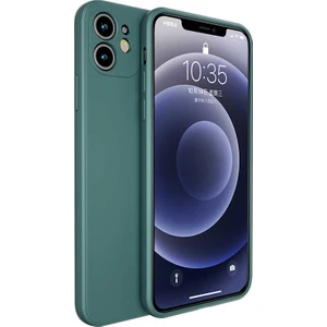 Apple iPhone 12 Mini Kılıf Benks Painting Tpu Kapak