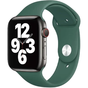 42MM Wiwu   Silikon Saat Kordon Kayış Bileklik