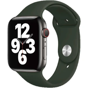 42MM Wiwu   Silikon Saat Kordon Kayış Bileklik