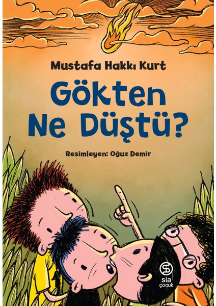 Gökten Ne Düştü? - Mustafa Hakkı Kurt