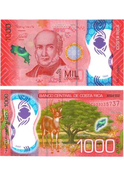 KOSTA RİKA 1000 COLONES 2019 POLYMER, P#280a, ÇİL, ESKİ YABANCI KAĞIT PARA