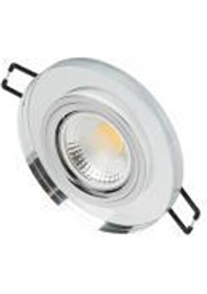 CT-6555 Ortanca Cam SPOT(AMPULSUZ-12ADET) Cata