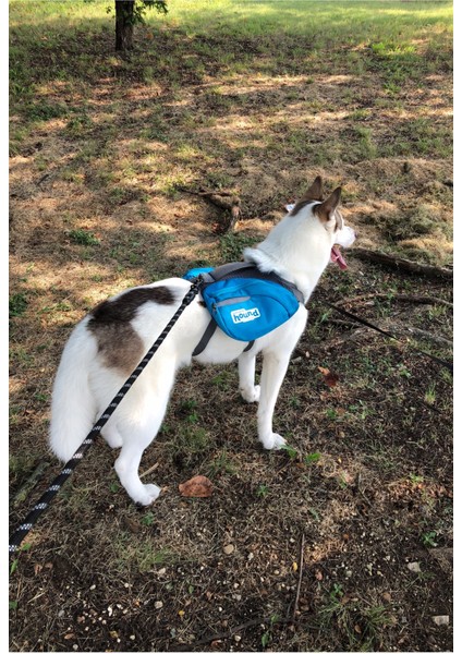 Köpekler Için Gezdirme Tasması Kayışı Reflektörlü 130 cm Kayış Orta ve Büyük Boy Köpekler Için