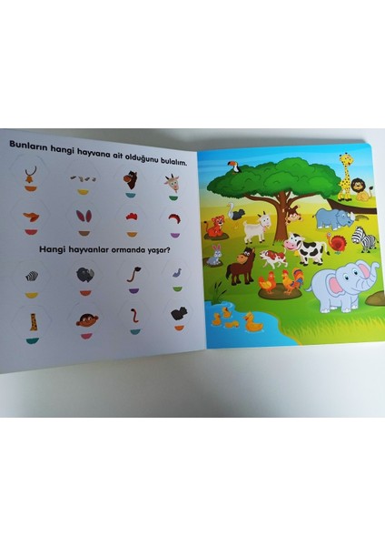2-4 Yaş Bul-Bil Etkinlik Kitap Seti (3 Kitap) - Feyyaz Ulaş (Ciltli) fırsatları