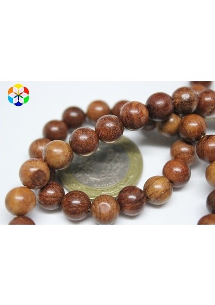Kan Ağacı Yarım Dizi 8mm (18CM Uzunluğundadır) modelleri