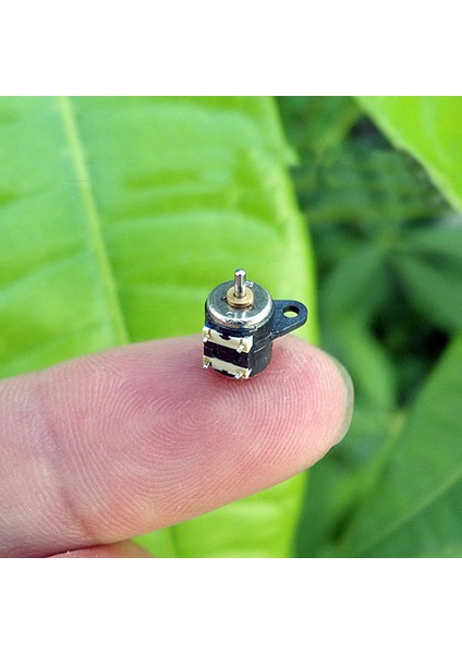 Roba Micro Step Motor 6x7.5mm 2 Faz 4 Telli ( Dikkat Çok Küçüktür !! )