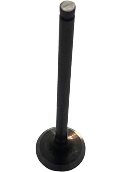 Store Honda Pcx 2021 Üstü Egzoz Subabı Om Subap fiyatları