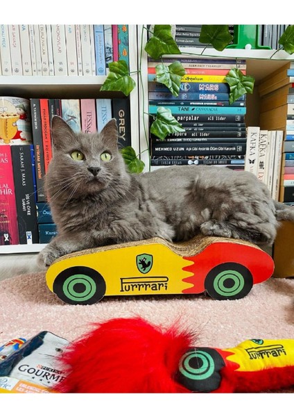 Purrari Kedi Tırmalama Kartonu 30 Cm Kediler Için Tırmalama Tahtası Kedi Tırnak Bakımı