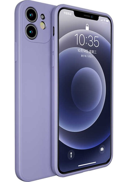 Apple iPhone 12 Mini Kılıf Benks Painting Tpu Kapak