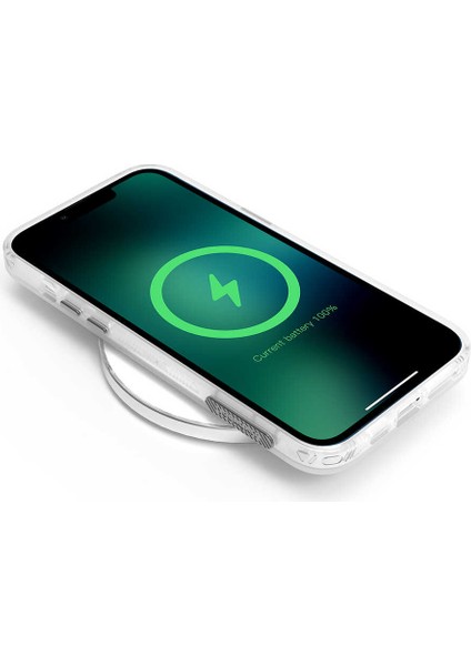Apple iPhone 13 Pro Max Kılıf Baskılı Desenli Youngkit Holiday Serisi Kapak