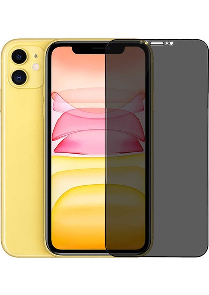 Apple iPhone 12 Pro Go Des Hayalet Gizli Ekran Koruyucu