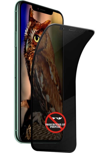 Apple iPhone 12 Pro Go Des Hayalet Gizli Ekran Koruyucu