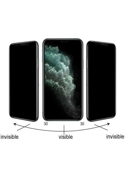 Apple iPhone 12 Pro Go Des Hayalet Gizli Ekran Koruyucu