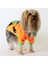 Pet Sweatshirt Çantalı - Turuncu - Köpek ve Kedi Kıyafeti 1