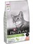 Sterilised Somonlu Kuru Kedi Maması 10 kg 1