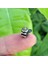 Roba Micro Step Motor 6x7.5mm 2 Faz 4 Telli ( Dikkat Çok Küçüktür !! ) 3
