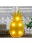 Ananas Işık 1