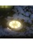 Su Geçirmez 8 LED Solar Çim Spot (Yurt Dışından) 3