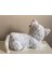 Sesli Miyavlayan Peluş Kedi 35CM 2