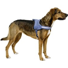 Kerbl Belden Köpek Tasması Maestro 2.0 Xxl 83-113 cm x 38 mm