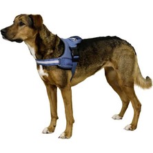 Kerbl Belden Köpek Tasması Maestro 2.0 Xxl 83-113 cm x 38 mm