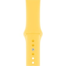 Pazariz Apple Watch Uyumlu 3 4 5 6 7 8 Se Delikli 38 40 41MM Kordon Kayış Bileklik Klasik Silikon