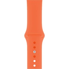 Pazariz Apple Watch Uyumlu 3 4 5 6 7 8 Se Delikli 38 40 41MM Kordon Kayış Bileklik Klasik Silikon