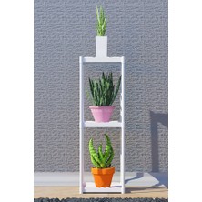 Armarks 3 Raflı Saksılık, Kış Bahçesi, Dekoratif Plastik Çiçeklik, Çiçek Saksı Standı