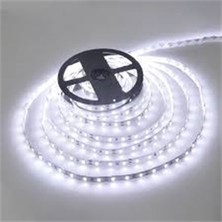 Cata CT-4480 10ç İç Mekan Beyaz Led Şerit (5 mt - 10'lu)