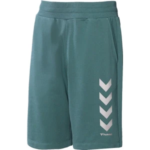 Erkek Kens Şort-Yeşil 931152-1016 S - Yeşil