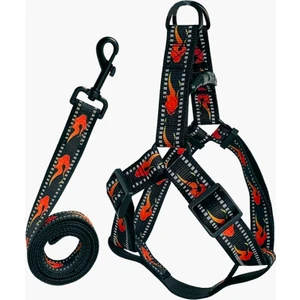 Köpek Göğüs Tasma Seti Reflektörlü Alev Desenli 120 Cm-48 Cm-70 cm Siyah