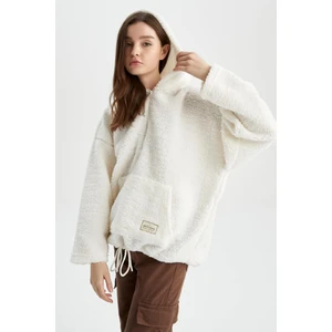 Oversize Fit Kapüşonlu Kanguru Cepli Yarım Fermuarlı Pelüş Sweatshirt Y5394AZ22WN