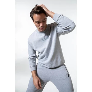 Regular Fit Baskılı İçi Yumuşak Tüylü Sweatshirt X7383AZ22AU