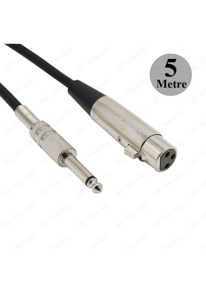 3 Pin Xlr Dişi To 6.35MM Mono Erkek Mikrofon Ses Kablosu 5metre