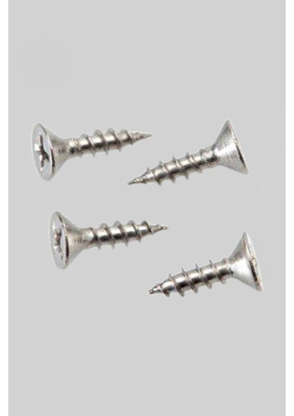 4X20 Sunta Vidası Paket 100 Adet