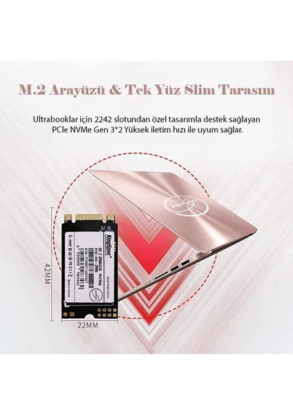 (256 Gb)  M.2 Nvme Pcıe GEN3X2 Ne Series 2242