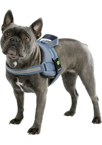 Belden Köpek Tasması Maestro 2.0 S 45-60 cm x 15 mm
