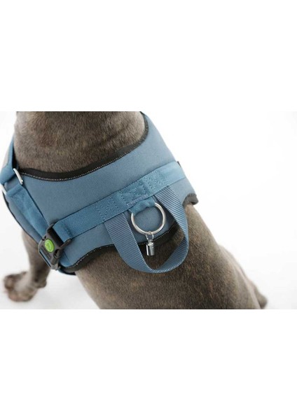 Belden Köpek Tasması Maestro 2.0 L 64-90 cm x 25 mm