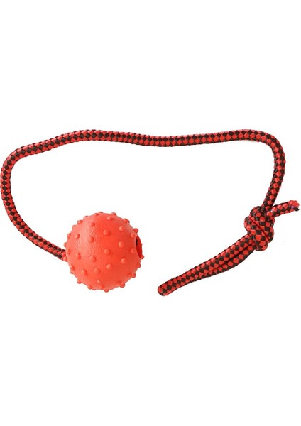 Köpek Diş Ipi Toplu 45 cm