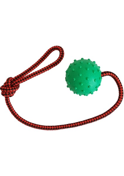 Köpek Diş Ipi Toplu 45 cm