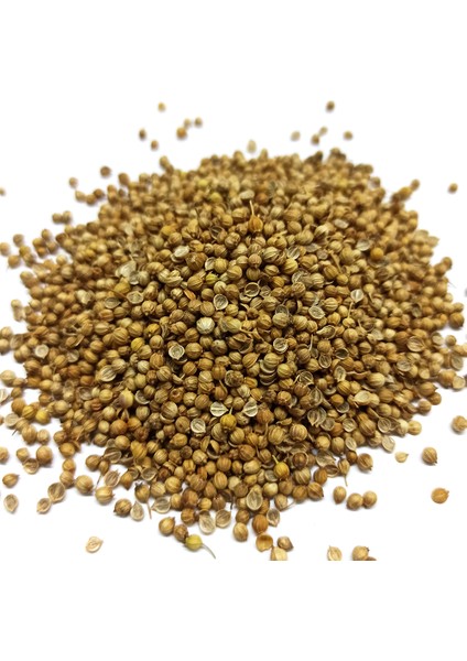 Kişniş Tane 1 kg fiyatları